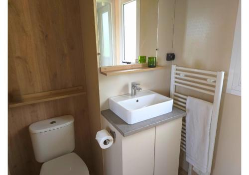 a bathroom with a sink and a toilet and a mirror at Tiny d'Monts in Brullioles
