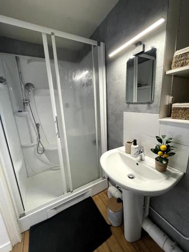 a bathroom with a shower and a sink at Charming house with terrace in Laval