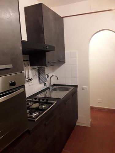 - Antina Firenze -