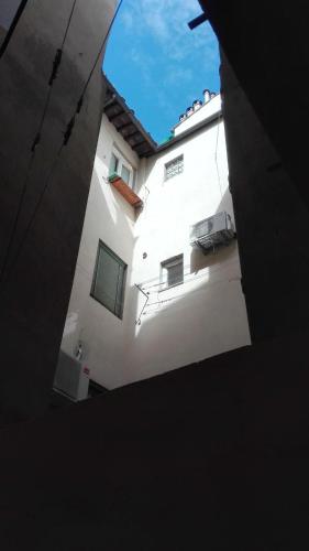 - Antina Firenze -