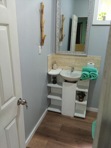 a bathroom with a sink and a mirror at El roble cabañas in Caburgua