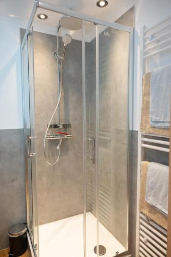 a shower with a glass door in a bathroom at Appartements Jupp und Hilde in Ernst