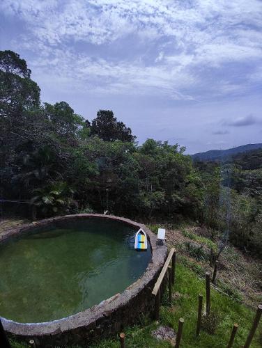 a small pool of water in a field at A casa da Floresta in Florianópolis
