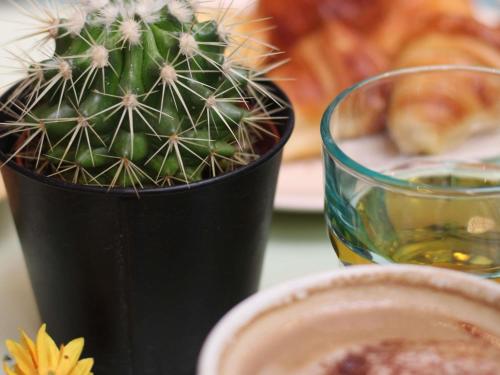 Jídlo v hotelu nebo okolí