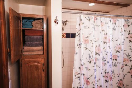 Pine Ridge Retreat في Tahoe Village: حمام مع دش مع ستارة دش