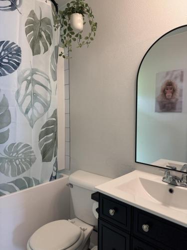 a bathroom with a toilet and a sink and a mirror at Morden Rustic 6B3B Ocean Mountain View BBQ EV Charging in Oak Harbor