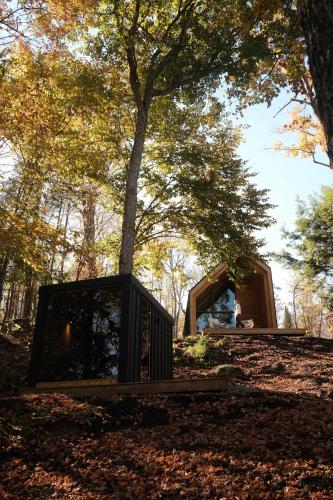 a small black house in the middle of a forest at Camp Haliburton - Waterfront A-Frame in Wilberforce