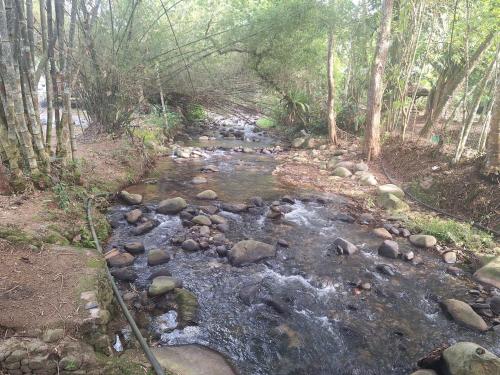 a stream of water with rocks in a forest at Rahsia Riverside Orchard Campsite at Janda Baik , Pahang in Bentong