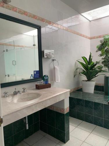 a bathroom with a sink and a mirror at Hotel Portal de Reyes in San Juan del Río
