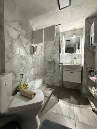 Un baño con ducha, inodoro y lavabo. en Reina Apartments Skopje with FREE Parking, en Skopje