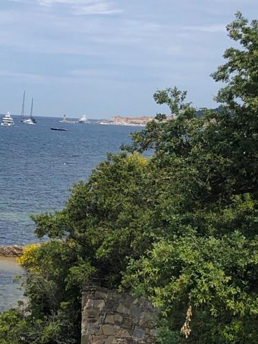 a tree on top of a stone wall near the water at Loustalou in Saint-Tropez