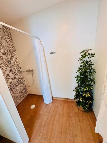 a bathroom with a shower and a potted plant at Reflets de Seine in Aubergenville
