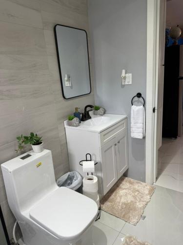 a bathroom with a toilet and a sink and a mirror at Adasie Palace in Saint Johnʼs