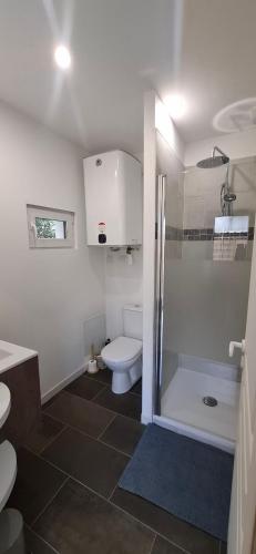 a bathroom with a toilet and a sink and a shower at Le Cabanon du Marché in Audenge