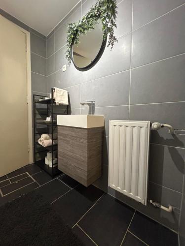 baño con lavabo, espejo y radiador en Betnava Apartment, en Maribor