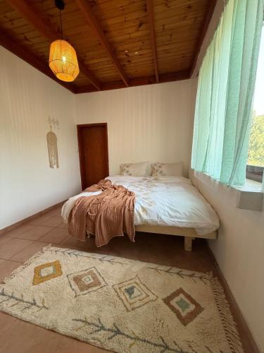 a bedroom with a bed with a rug and a window at Country house in Golan in Kidmat Tsvi