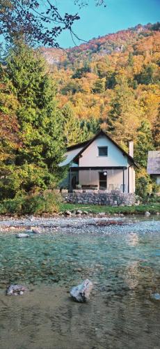 a house next to a river with a rock in front at Riverside Guesthouse in Ig