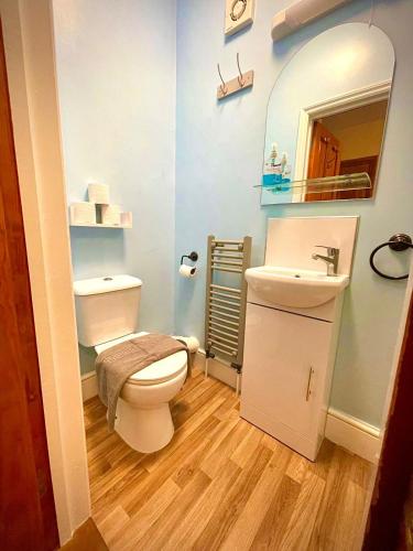 a bathroom with a toilet and a sink and a mirror at Coastal Lodge in Leiston