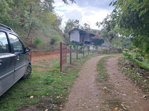 Foto dalla galleria di Vikendica raj 