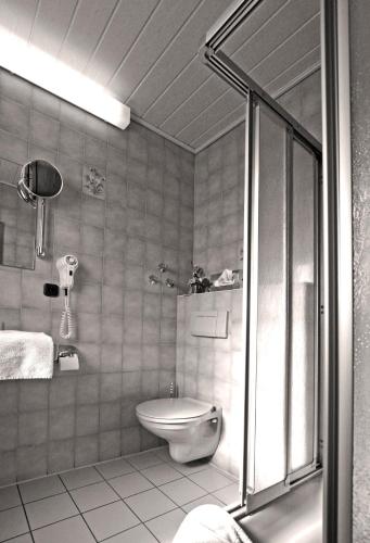 a bathroom with a toilet and a shower at Hotel Zur Krone in Ronneburg