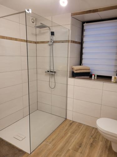 a glass shower in a bathroom with a toilet at Ferienhaus Klara in Schweich