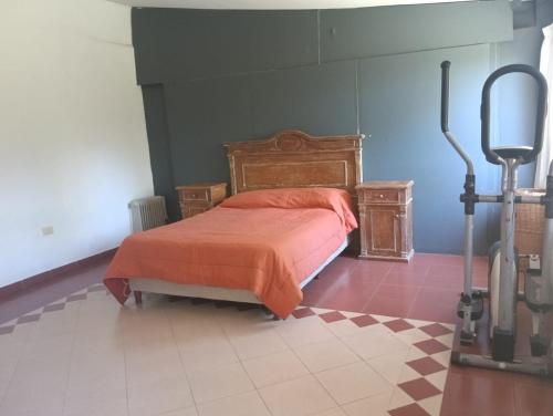 a bedroom with a bed with an orange comforter and a treadmill at Los Algarrobos in Bialet Massé