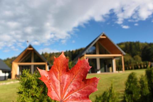a red maple leaf in front of a house at Galena i Gnejs in Stronie Śląskie