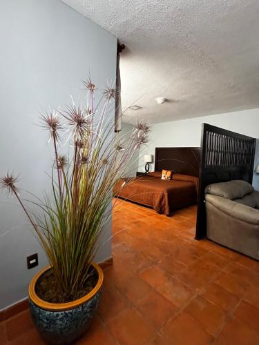 Gallery image of Hotel Portal de Reyes in San Juan del Río
