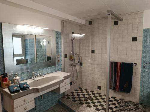 a bathroom with a sink and a shower at Chambre d'hôtes Les Myriades D'Or in Regny