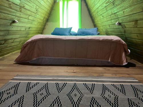 a bed in a green room with a window at Chalé com Piscina e Natureza Primavera Rosa in Penha
