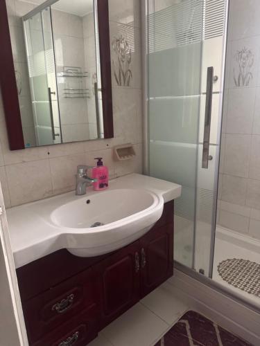 a bathroom with a sink and a shower at Abdoun ground floor apartment in Amman