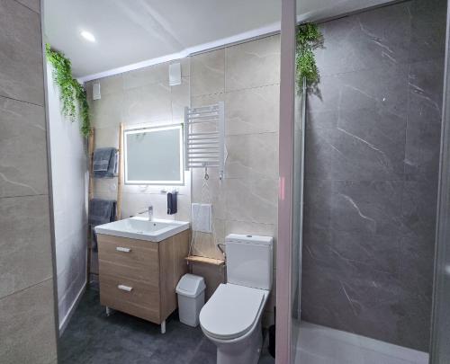 a bathroom with a toilet and a sink at Duplex moderne au cœur de Saverne in Saverne