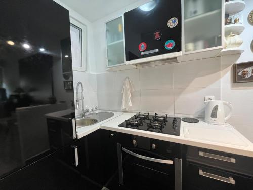 Studio apartment Manu