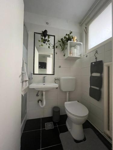 Studio apartment Manu