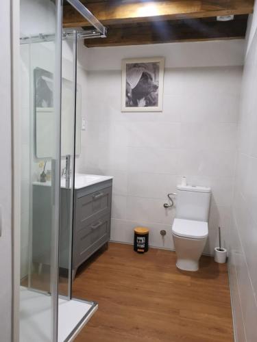 a bathroom with a toilet and a glass shower at Apartamentos El Plano in Los Molinos