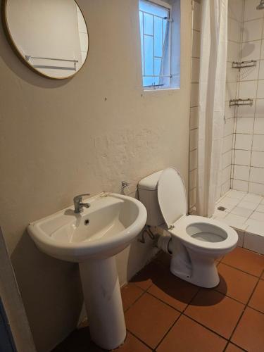 a bathroom with a sink and a toilet and a mirror at Jakaranda B&B in Pretoria
