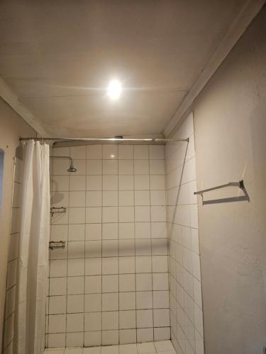 a bathroom with a shower with a light on the ceiling at Jakaranda house in Pretoria