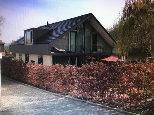 a house with a black roof and some bushes at Tropic Love I - Seezugang - Seesicht I BeachParadise I Massage - Trampolin - Light Show - Parken - Cinema Feeling - BBQ in Gaienhofen