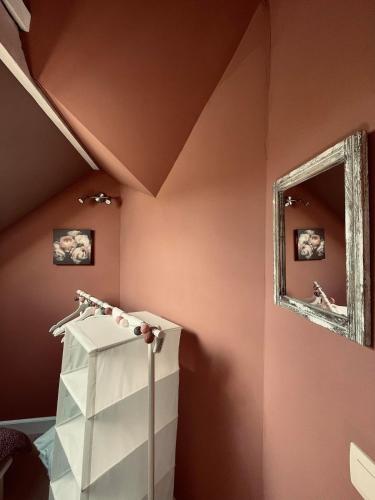 a room with pink walls and a mirror at L'Abri de la Chouette - Gîte au Pays des Collines - GR129 in Frasnes-lez-Anvaing