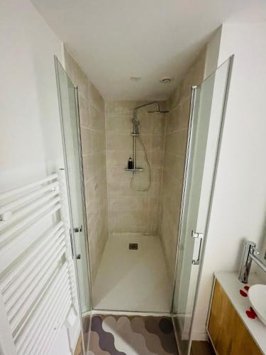 a shower with a glass door in a bathroom at Green Love Suite in Tourcoing