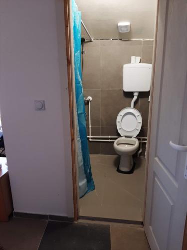 a bathroom with a toilet with a blue shower curtain at Vila Kostadinovic in Pirot