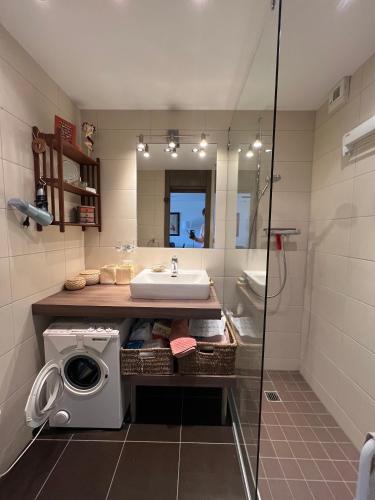 a bathroom with a washing machine and a sink at Cozy apartment with stunning view in Anzère