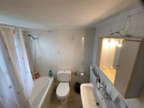 a bathroom with a toilet and a tub and a sink at Aegean Hill Retreat in Neos Voutzas
