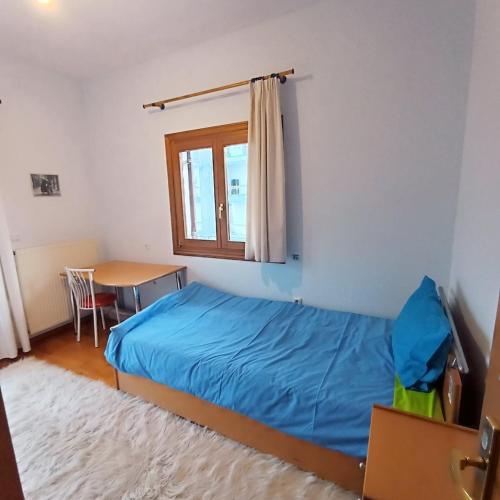 Philoxenia apartment city center
