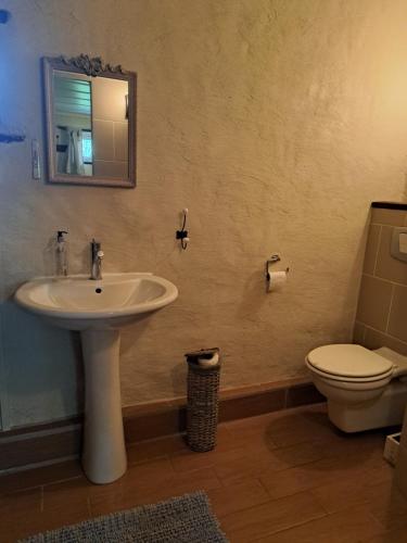 a bathroom with a sink and a toilet at Gite Elin in Ronnet