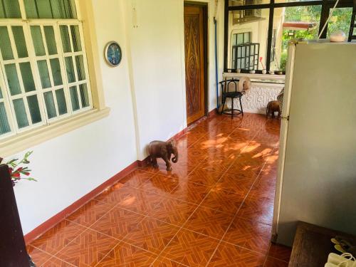 Domácí mazlíčci ubytovaní s hosty v ubytování Middle Bedroom, Mckirdy's Farm
