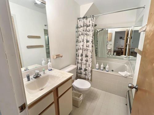 a bathroom with a sink and a toilet and a shower at Woods Village 43 in Killington