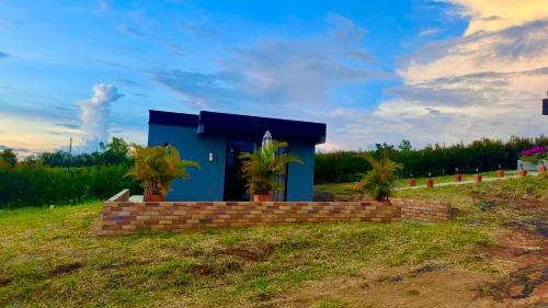 a blue house with palm trees in a field at LUZ DE LUNA mesa de los santos house in Los Santos