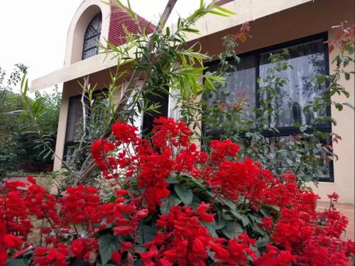 a bunch of red flowers in front of a house at Garden Villa in Mahabaleshwar