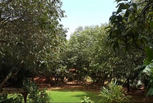 a garden with green grass and trees in the background at Garden Villa in Mahabaleshwar